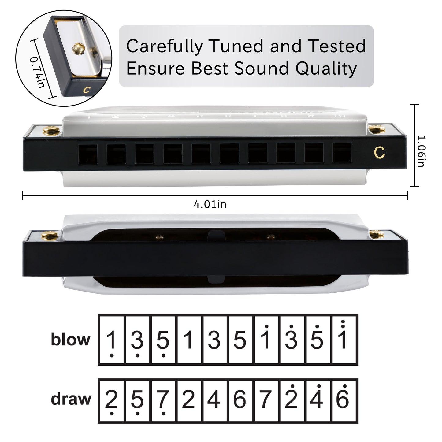 EAST TOP Harmonica With Case | 10 Holes Mouth Organ | Key Of C