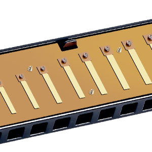 EAST TOP Harmonica With Case | 10 Holes Mouth Organ | Key Of C