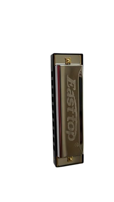 EAST TOP Harmonica With Case | 10 Holes Mouth Organ