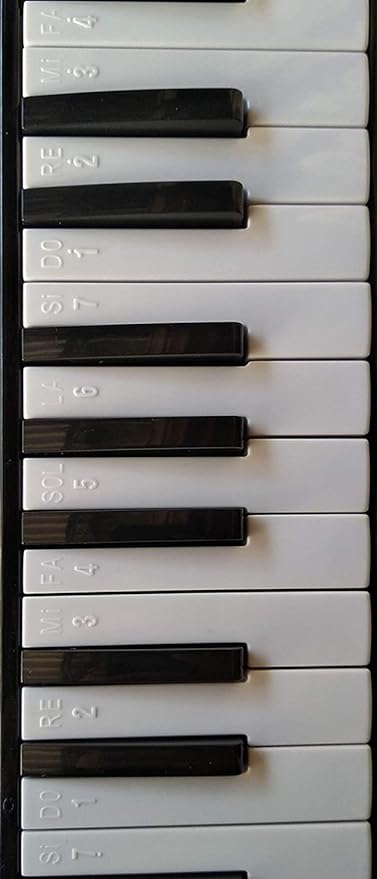 JDR 32 Keys Melodica with Numbered Keys for Beginners (Blue)