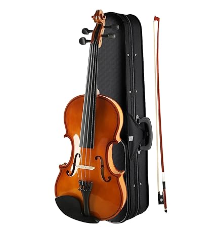 Crusader Violin VA101H with Bow,Rosin and Hard Case