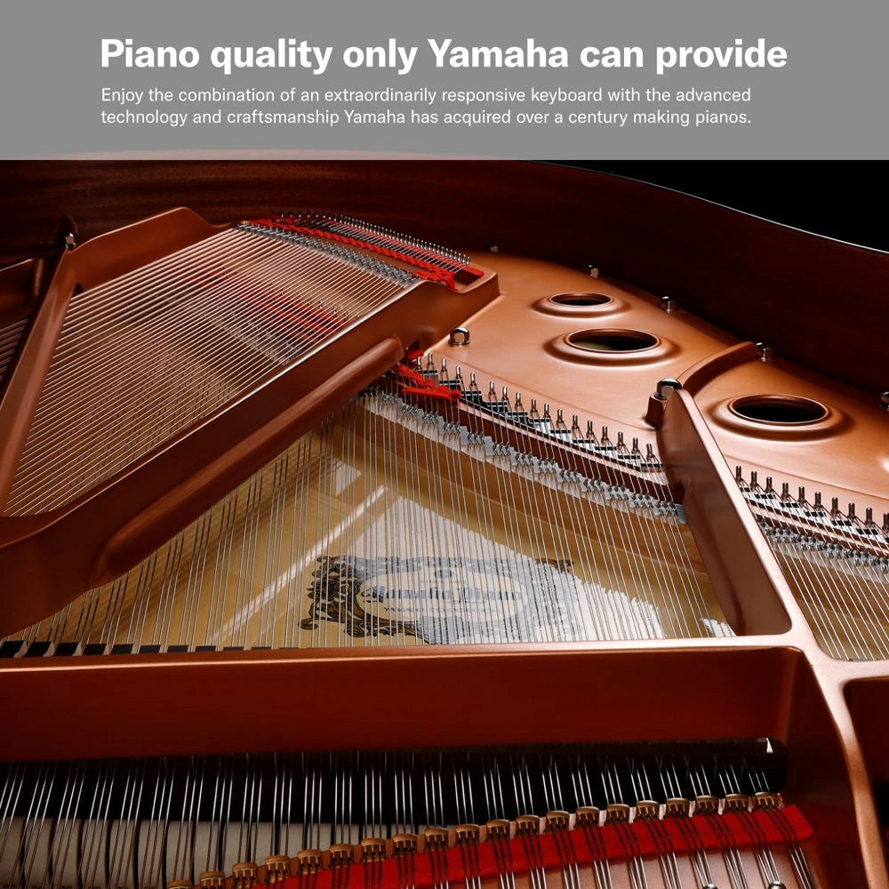 Yamaha P-125AB Digital Piano With 88 Keys (Portable Digital Piano) Adaptor Included