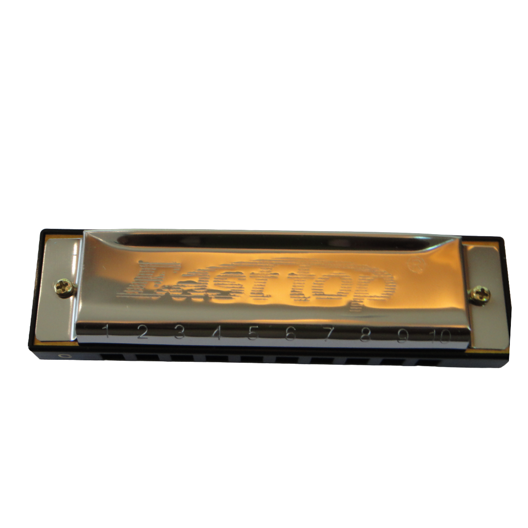EAST TOP Harmonica With Case | 10 Holes Mouth Organ | Key Of C