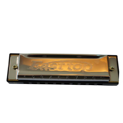EAST TOP Harmonica With Case | 10 Holes Mouth Organ | Key Of C
